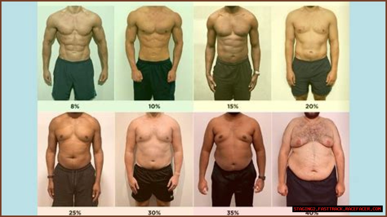 A Comprehensive Analysis Of Her Body Fat Percentage