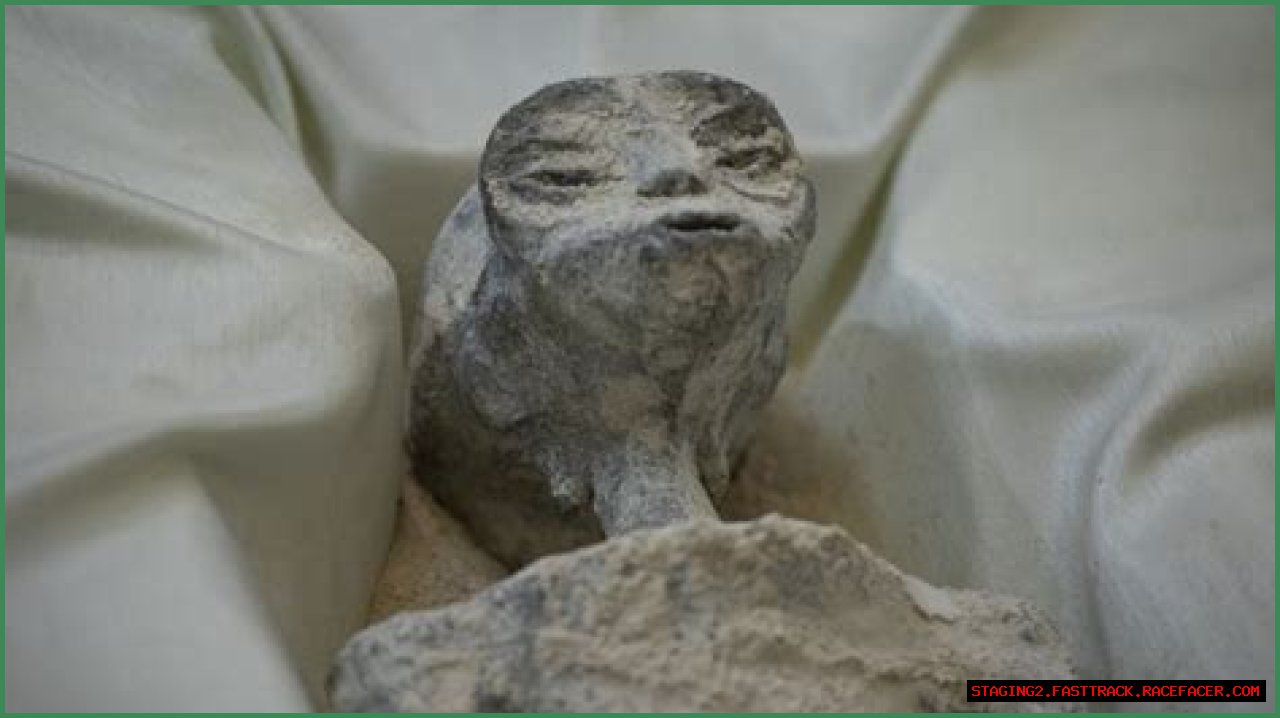 Alien Wonders Revealed On Twitter