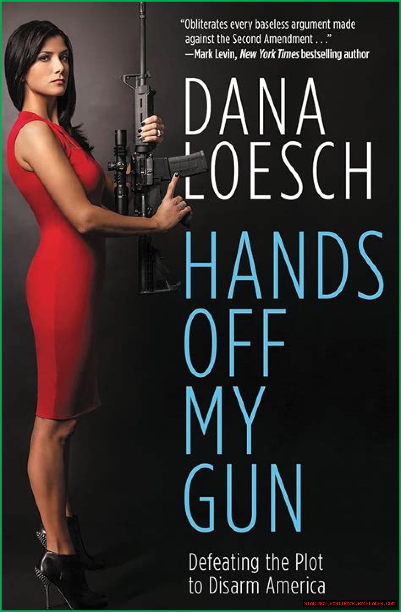 Dana Loesch On Politics And Gun Rights
